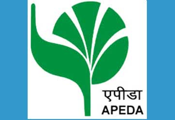 APEDA certification process in india